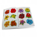 Blumen (Flowers) Book