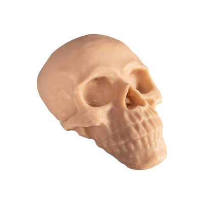 Reelskin Synthetic Tattooable Skull