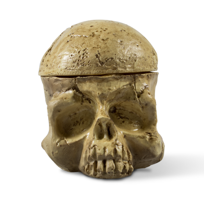 Skull Head Tattoo Ink Cup Holder